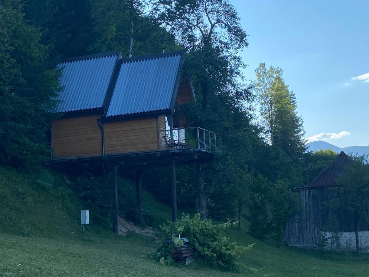 Tara Place - Camp Rabrenovic Мойковац Экстерьер фото