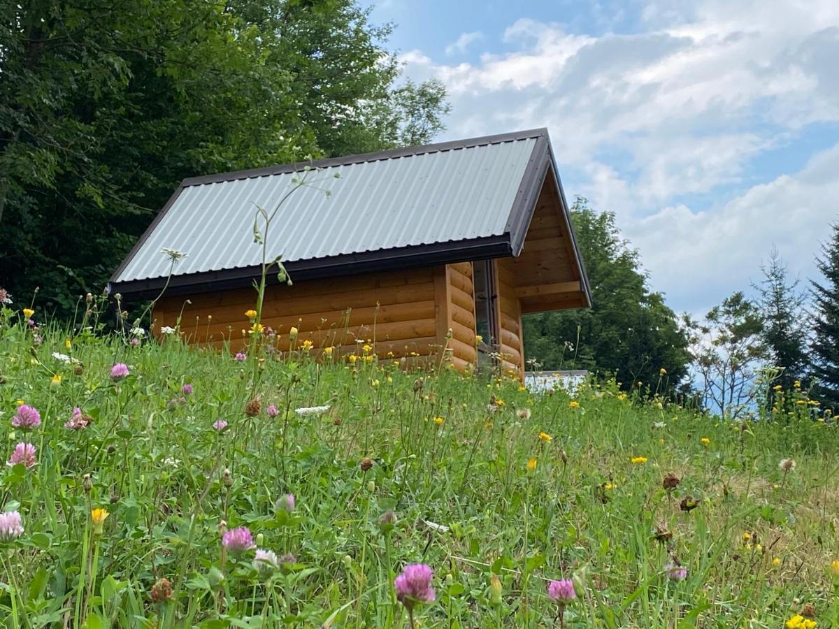 Tara Place - Camp Rabrenovic Мойковац Экстерьер фото