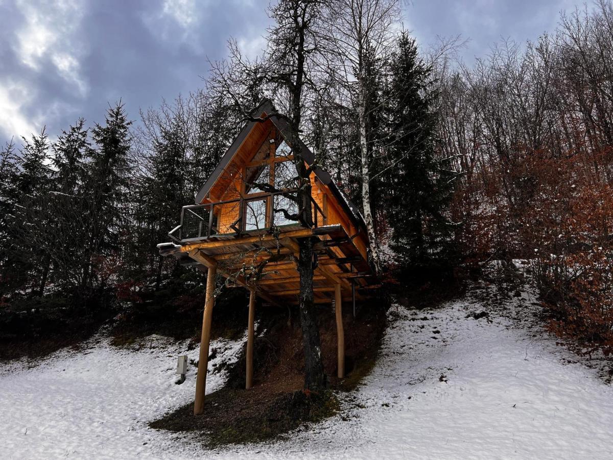 Tara Place - Camp Rabrenovic Мойковац Экстерьер фото