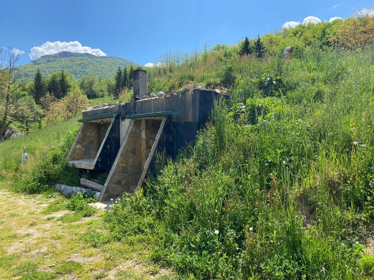 Tara Place - Camp Rabrenovic Мойковац Экстерьер фото